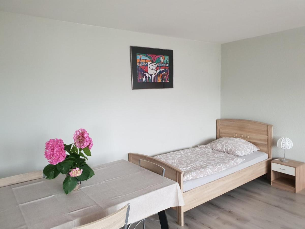 Mainzimmer Business Appartment - Monteurwohnung Mit Burgblick Wertheim Esterno foto