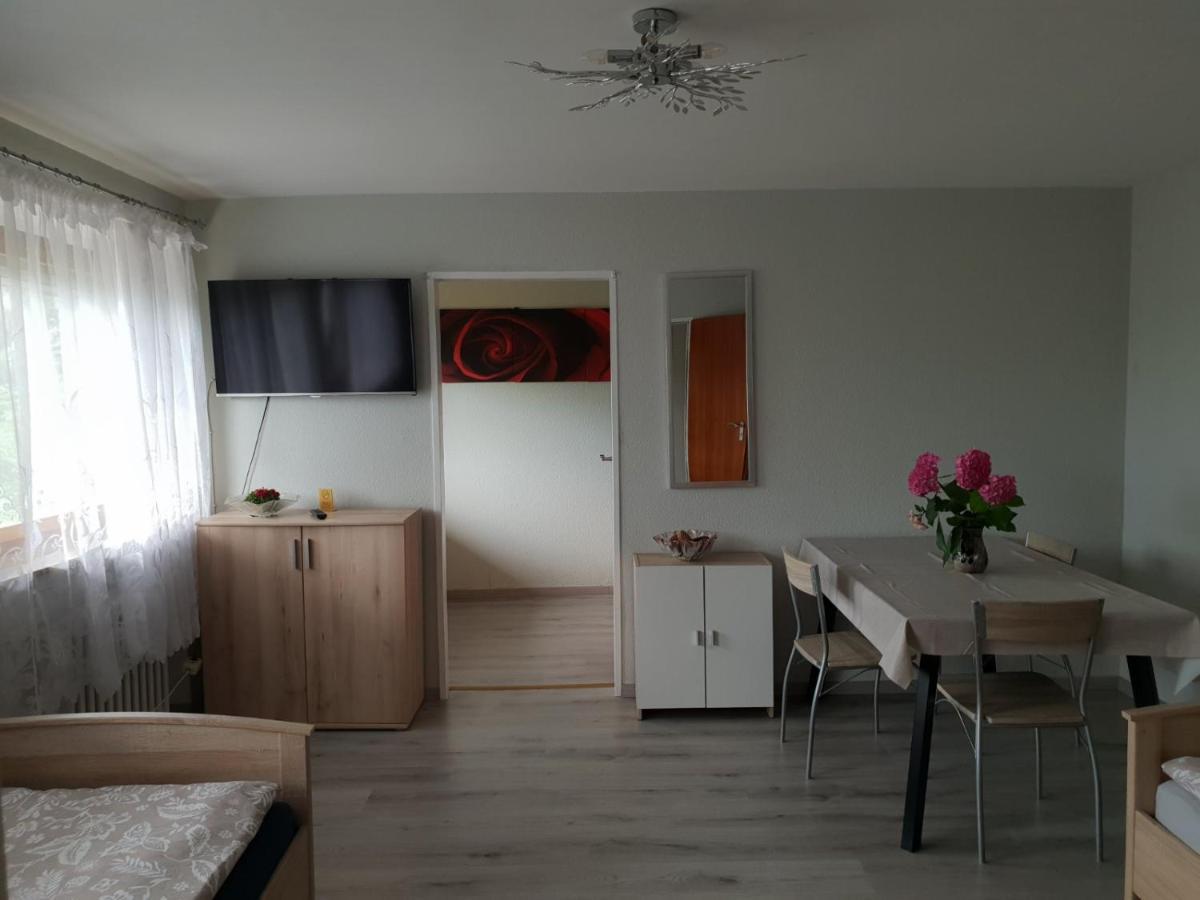 Mainzimmer Business Appartment - Monteurwohnung Mit Burgblick Wertheim Esterno foto