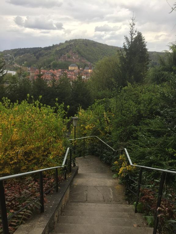 Mainzimmer Business Appartment - Monteurwohnung Mit Burgblick Wertheim Esterno foto