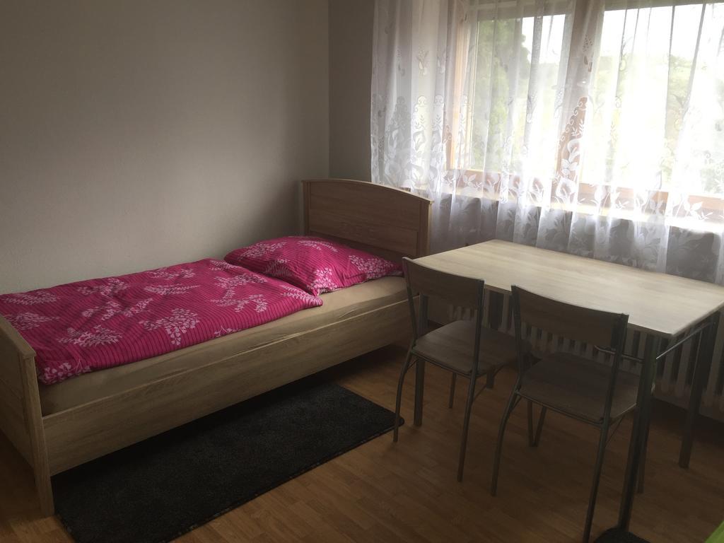 Mainzimmer Business Appartment - Monteurwohnung Mit Burgblick Wertheim Esterno foto