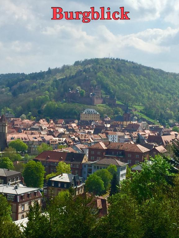 Mainzimmer Business Appartment - Monteurwohnung Mit Burgblick Wertheim Esterno foto