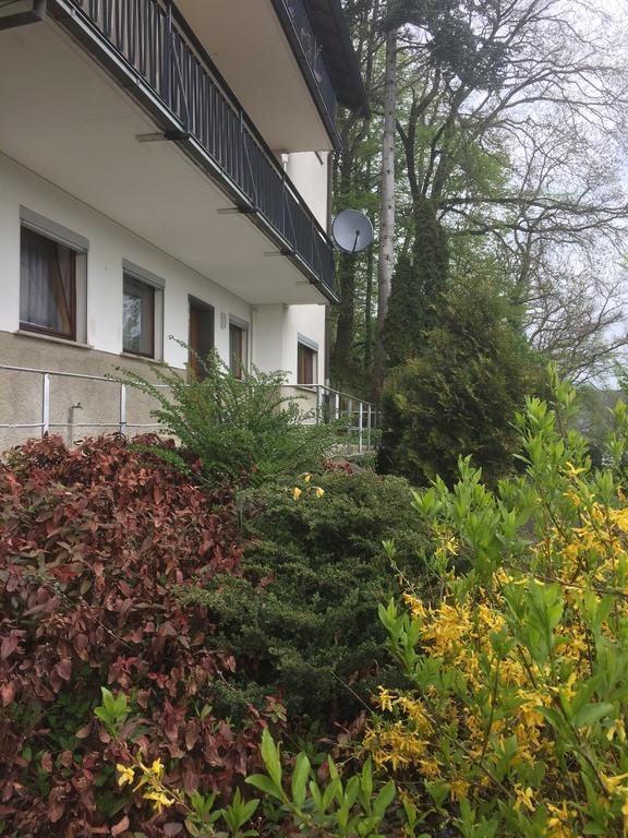 Mainzimmer Business Appartment - Monteurwohnung Mit Burgblick Wertheim Esterno foto